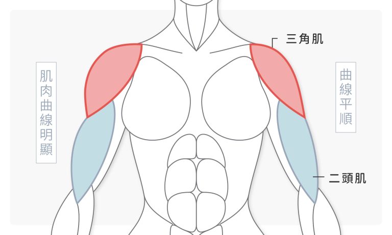 正面角度了解若三角肌、二頭肌肌肉發達如何影響手臂曲線